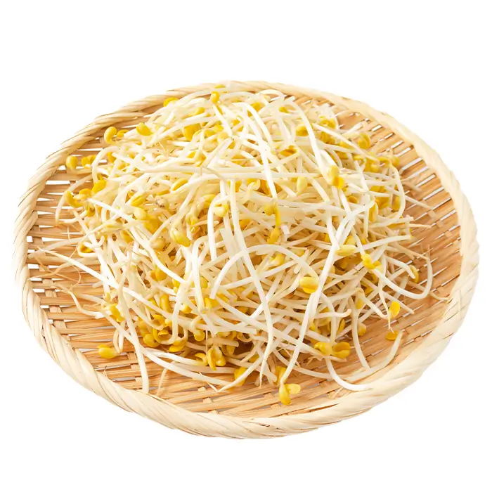 Germes de soja