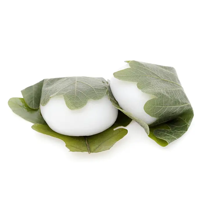 2 Kashiwa-mochi