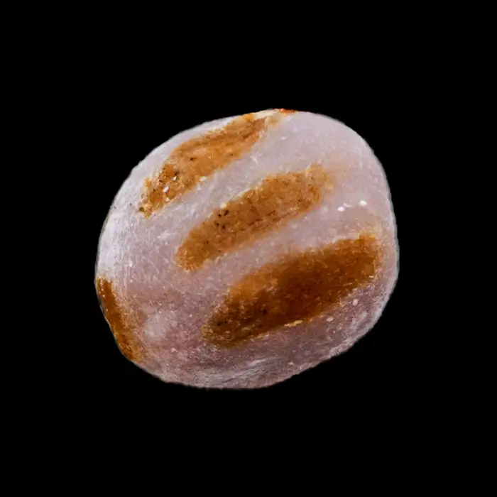 Inoko-mochi