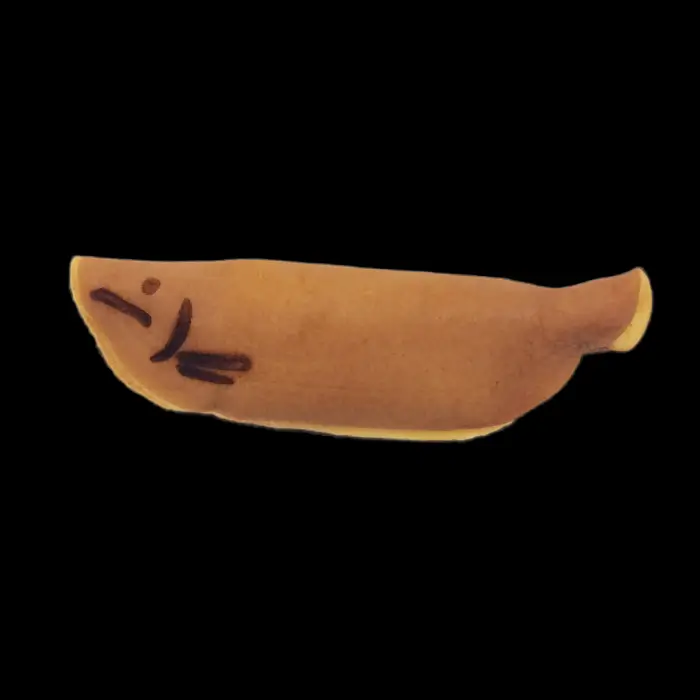 Waka-ayu